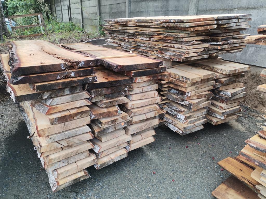 Řezivo bříza nesámované 26mm a 46mn
